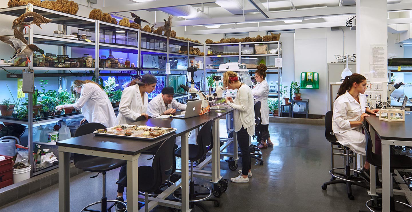 Group of medical students in lab